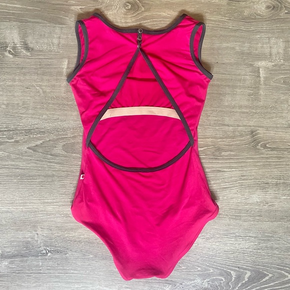Yumiko Leotard - DISCONTINUED! Pinkberry and Titanium Larissa, Size Large - Picture 1 of 5